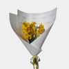 Daffodil Day - PRE ORDER August 19th or 20th