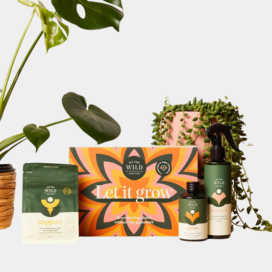 Let it Grow Essentials Kit