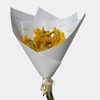 Daffodil Day - PRE ORDER August 19th or 20th