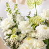 White Bouquet