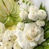 White Bouquet