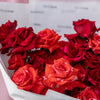 Velvet Flame Roses - Extra Large