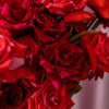 Velvet Flame Roses - Extra Large