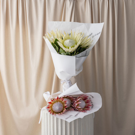 King Protea En Masse