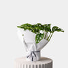 Monstera Monkey Mask