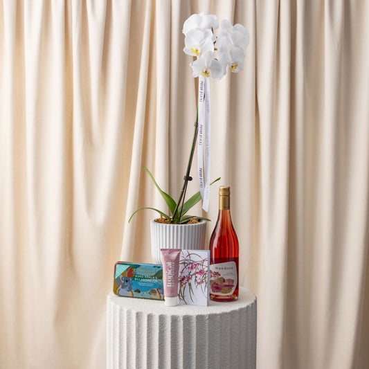 Phalaenopsis Orchid - Curated Gift Collection