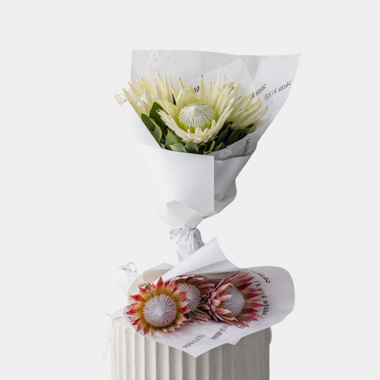 King Protea En Masse